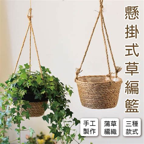 垂墜植物|居家空間必備！垂吊植物種類大揭密，打造綠意盎然的。